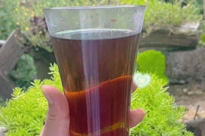 Nước nhân trần tốt nhưng 4 điều nên tránh khi dùng