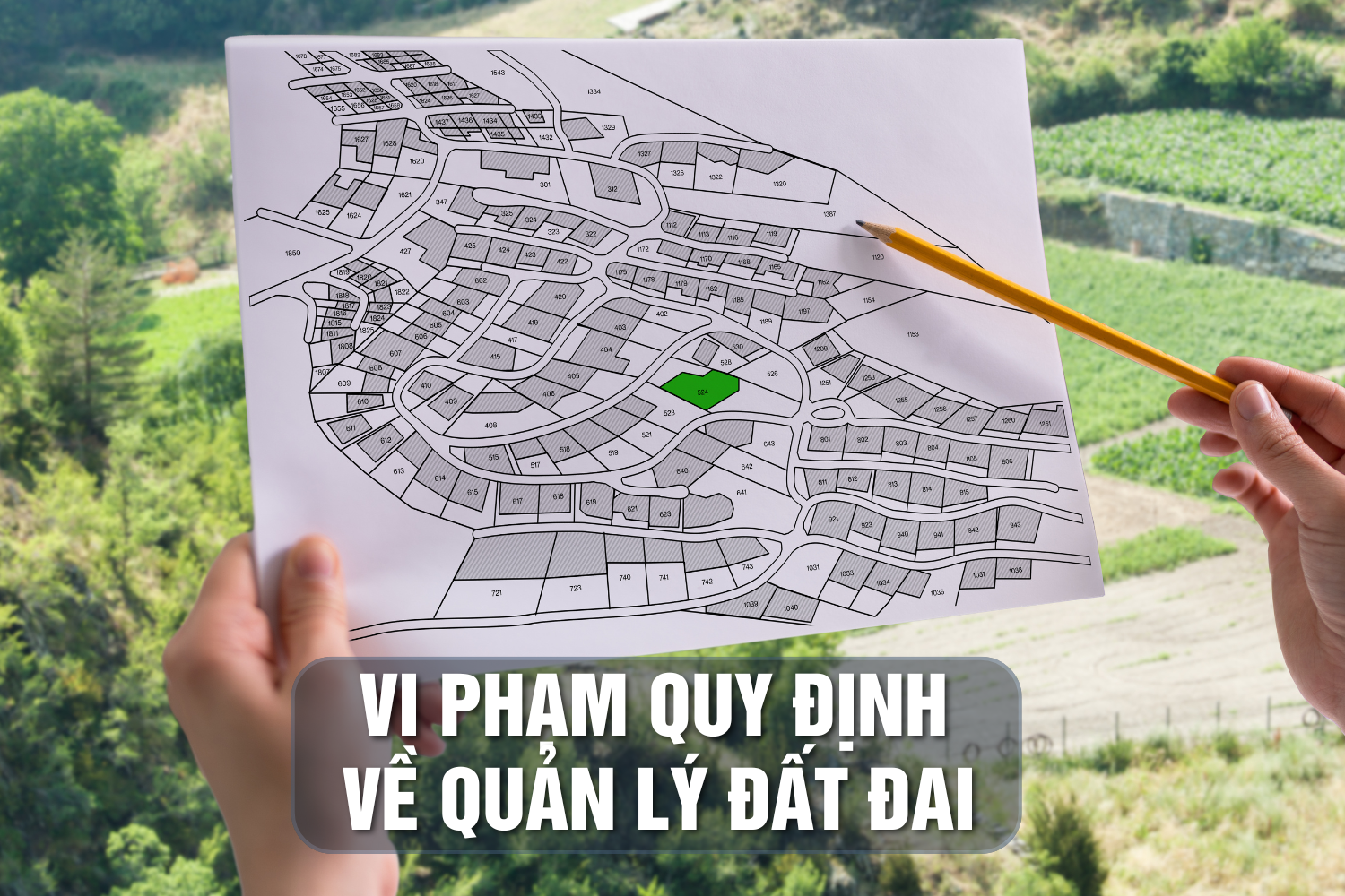 Vi phạm quản lý đất rừng phòng hộ Sóc Sơn, cựu cán bộ Hà Nội đối mặt án tù