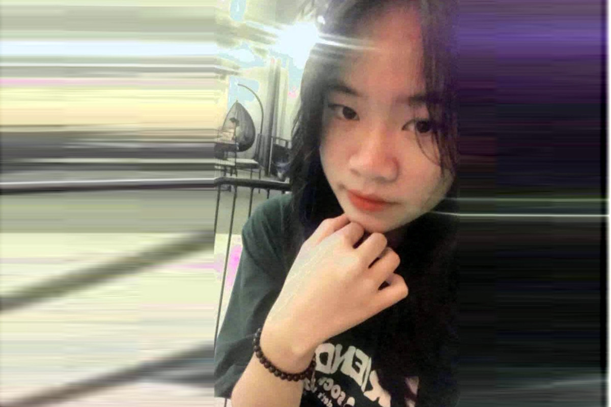 Nữ sinh ở Hà Nội bỏ nhà đi cùng 2 con mèo sau câu nói của mẹ