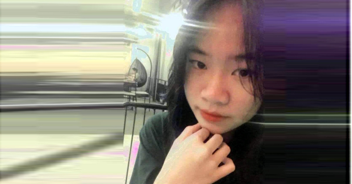 Nữ sinh ở Hà Nội bỏ nhà đi cùng 2 con mèo sau câu nói của mẹ