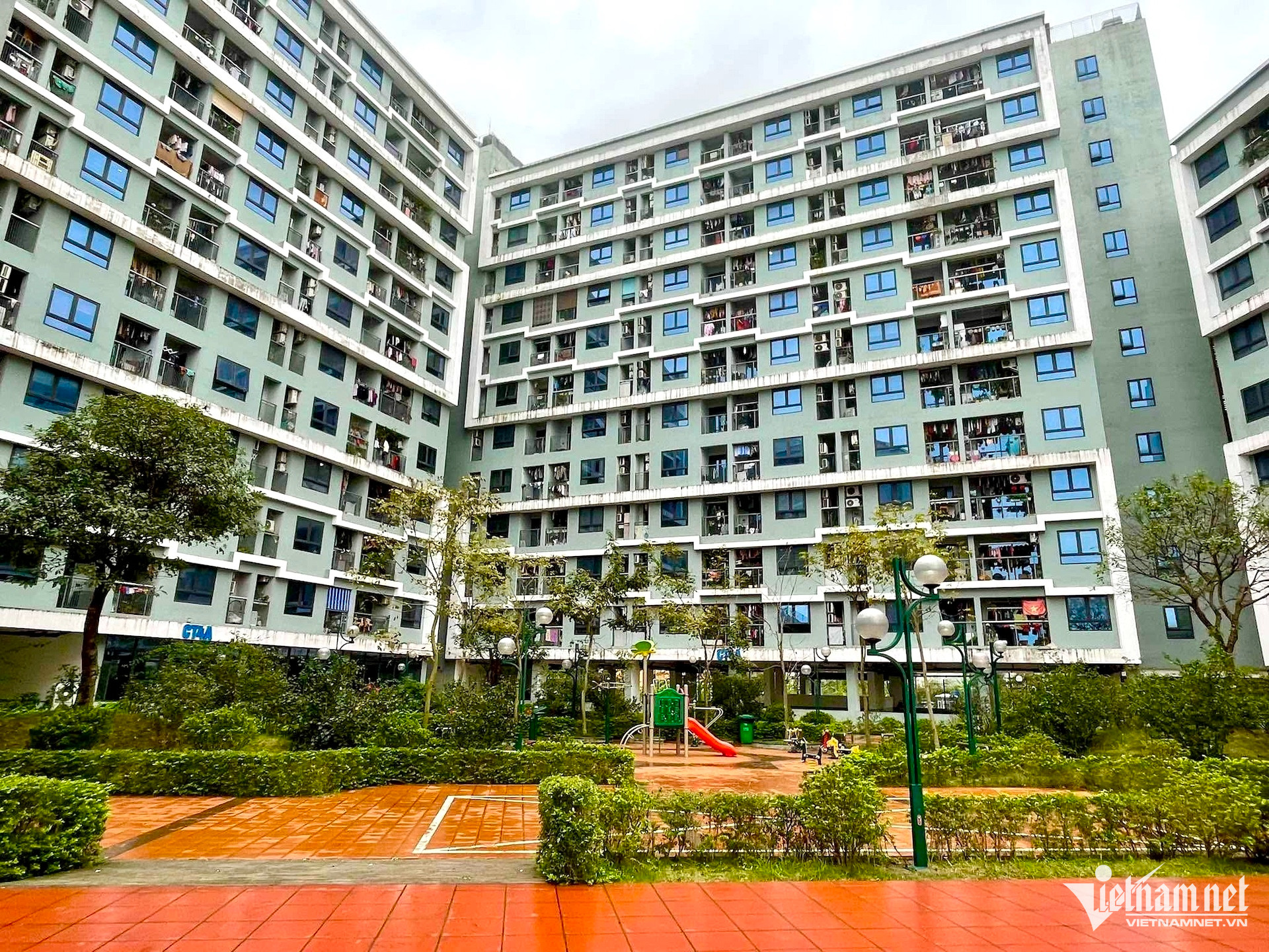 W-nha o xa hoi vietnamnet.jpg