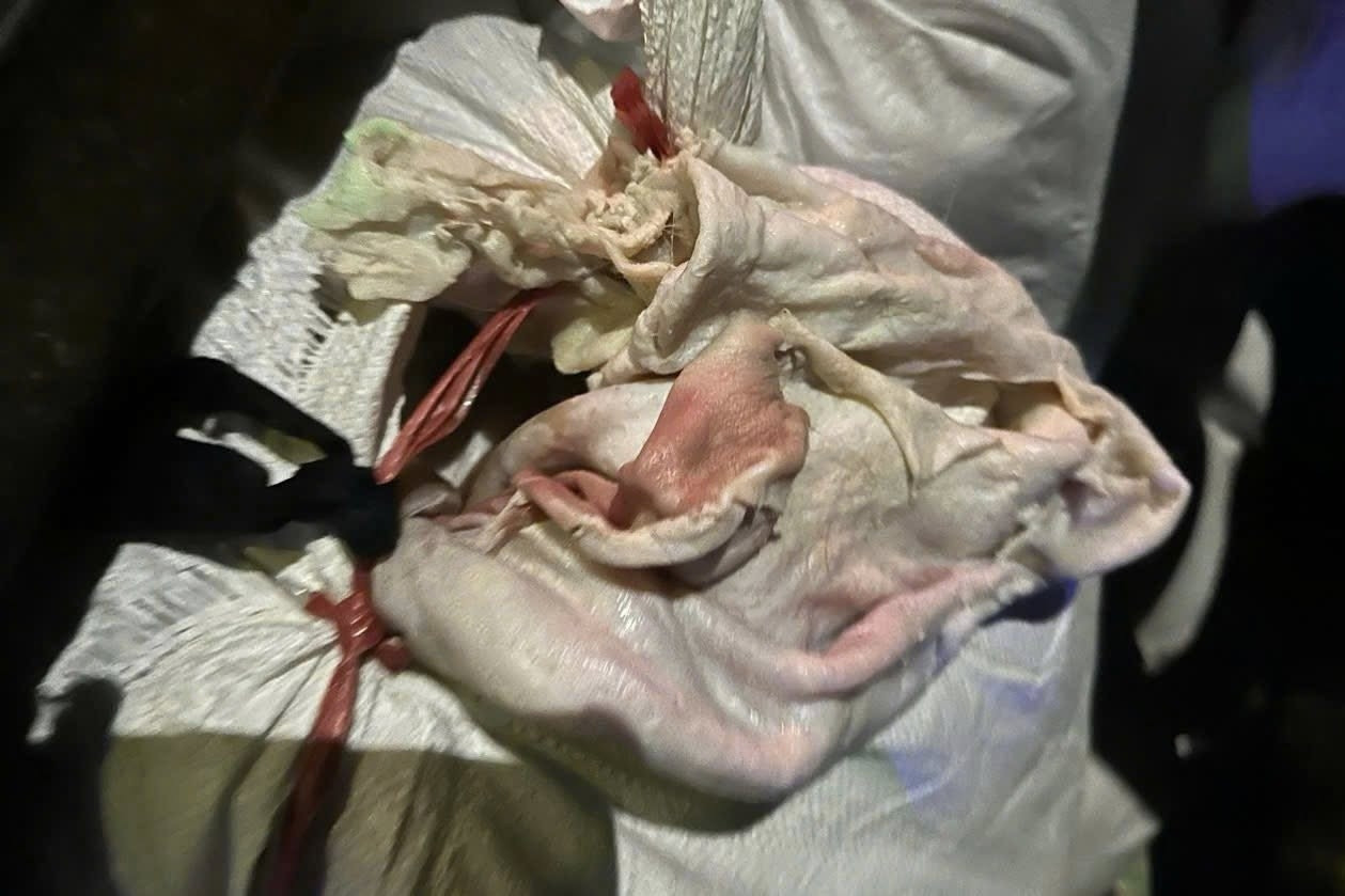 CSGT phát hiện xe tải chở 2 tấn da heo bốc mùi hôi thối