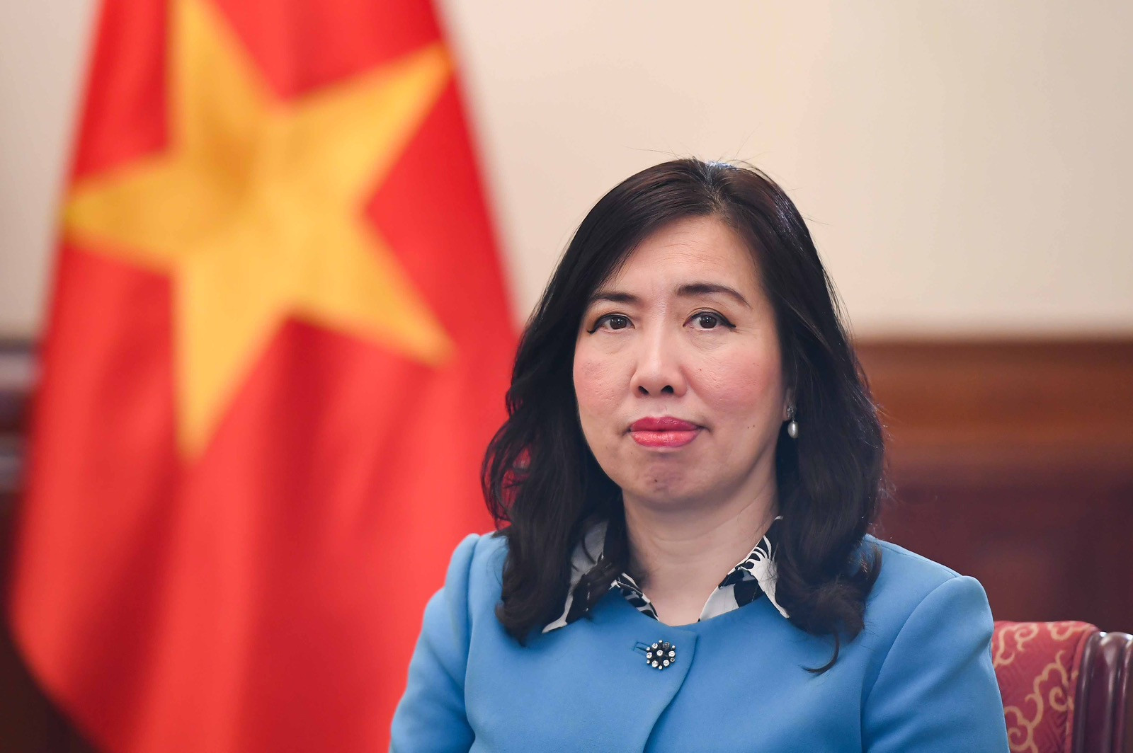 Thứ trưởng Ngoại giao Lê Thị Thu Hằng ảnh 1.jpg
