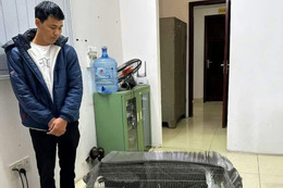 Vụ án gà lôi trắng: Những tình tiết giảm nhẹ cho chủ nuôi