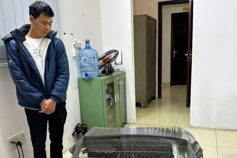 Vụ gà lôi trắng: Bị cáo Thành được tại ngoại, chờ xử phúc thẩm