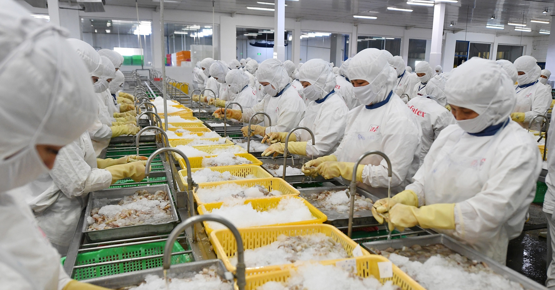 vietnamnet.vn