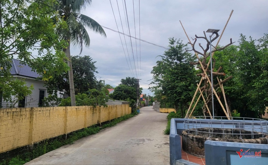 W-88c0dd3a dd79 4708 b181 cbf8caec2778.jpg