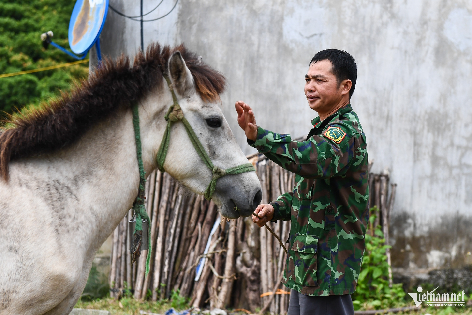 W-DTTG 1719 Bac Giang (18).jpg