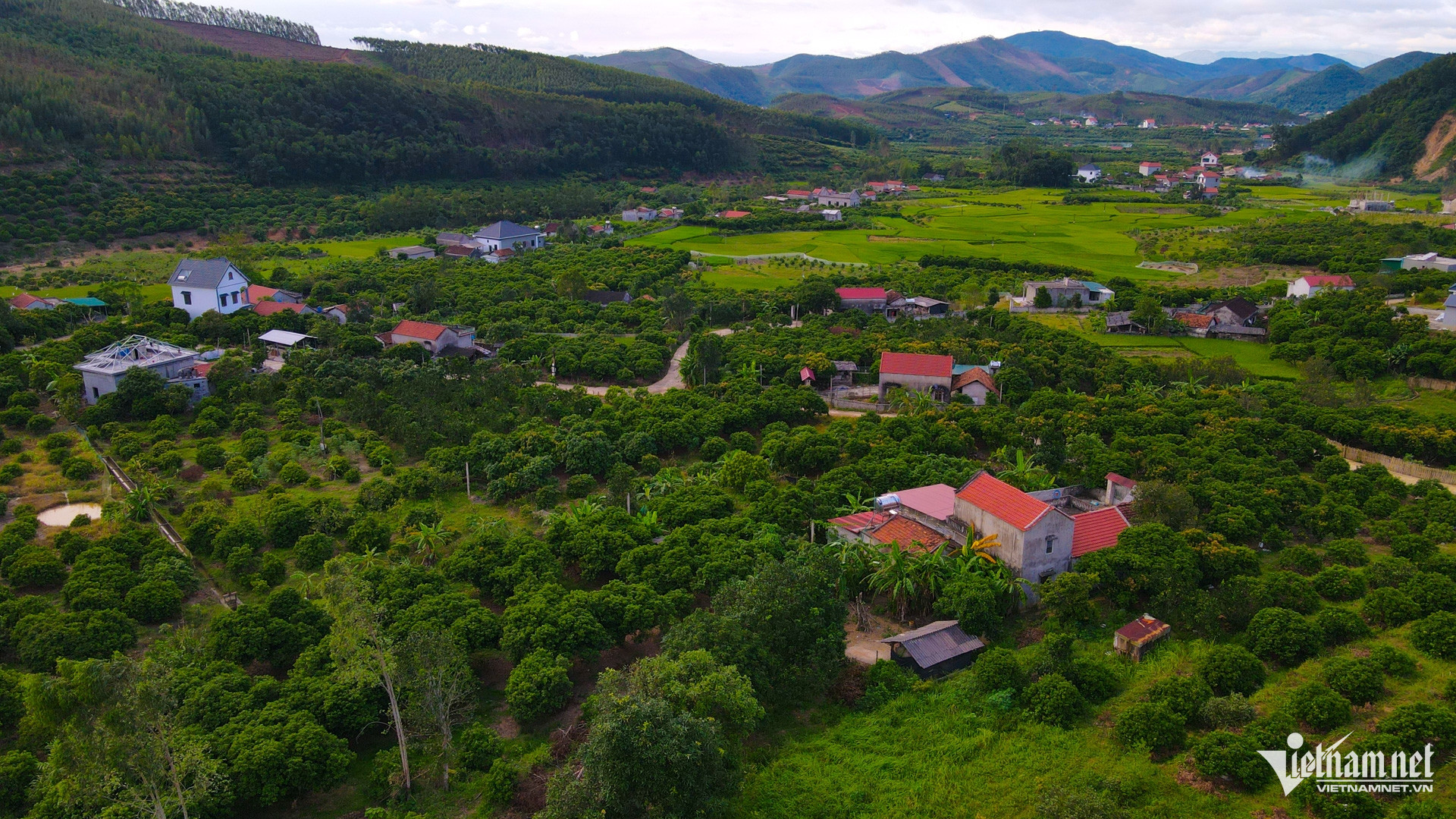 W-DTTG   1719   Bac Giang (30) (1).jpg