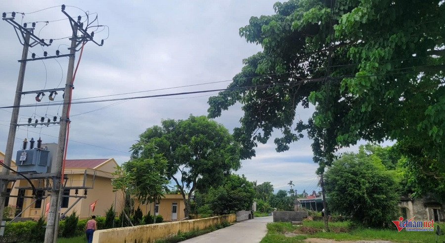 W-f873eaa5 f85c 4bf9 886f 39d3693e6901.jpg