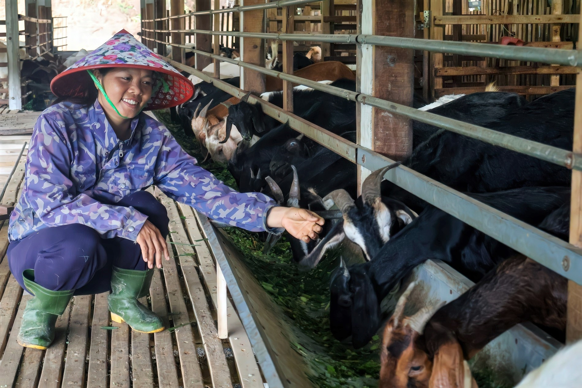 8X Đà Nẵng làm trang trại xanh, biến đất cằn thành 'mỏ vàng', kiếm bộn tiền