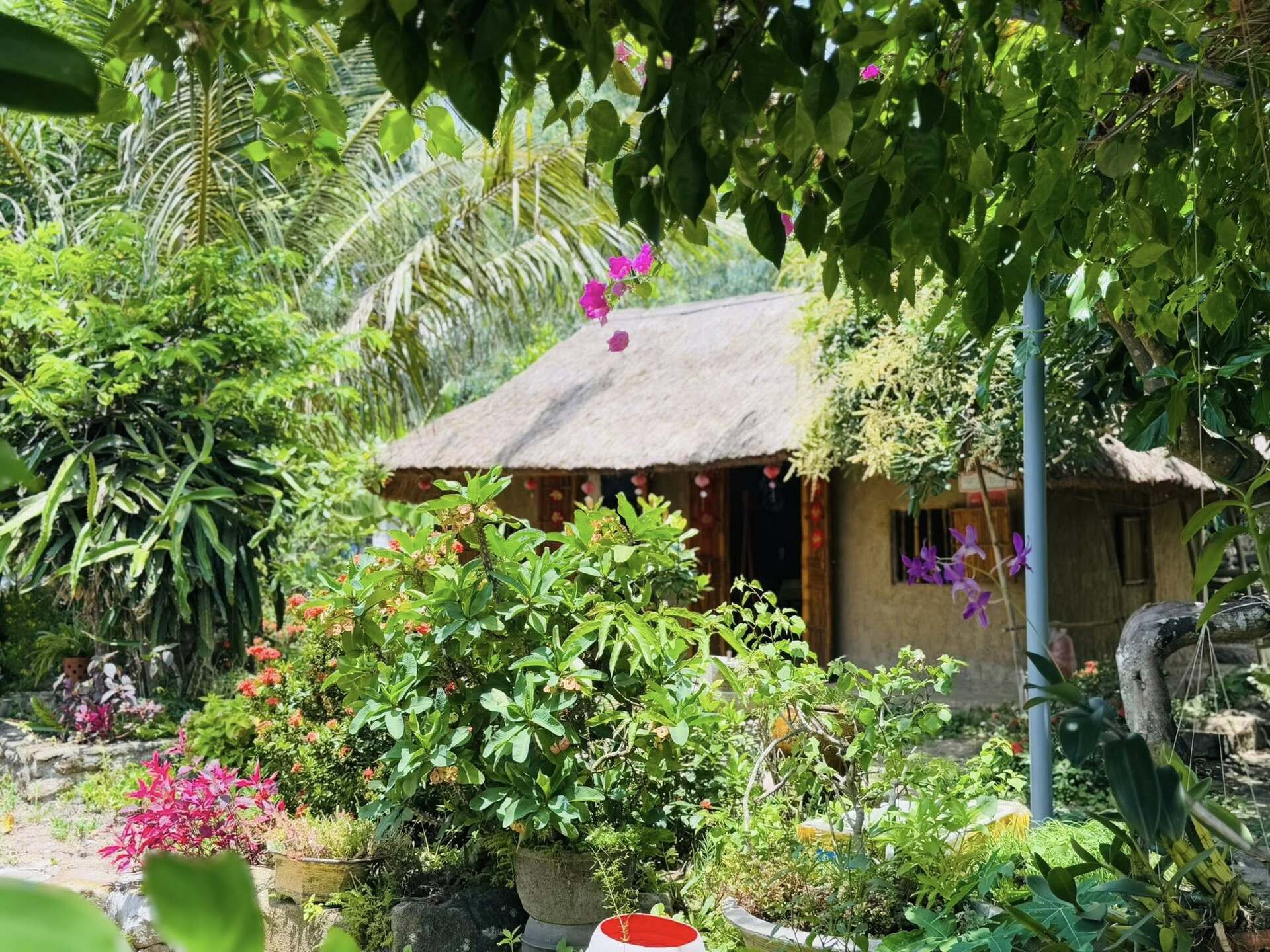 gia đình xuyên việt.jpg