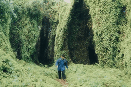 Làng chài bình yên trên đảo ở Nha Trang, vé tàu ra thăm chỉ 5.000 đồng YwAAAAAAQABAAACAUwAOw==