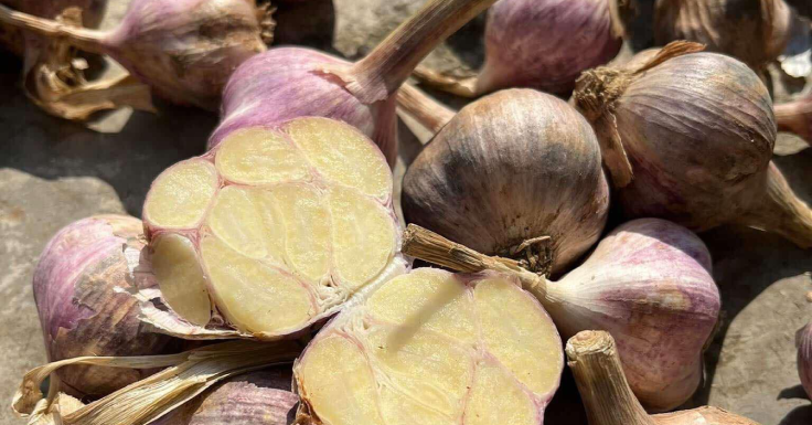 Loại gia vị ở góc bếp hỗ trợ hạ huyết áp, giảm mỡ máu