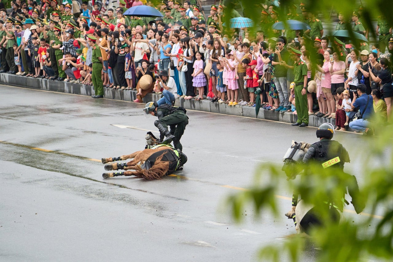 Ngựa k02 2.jpeg