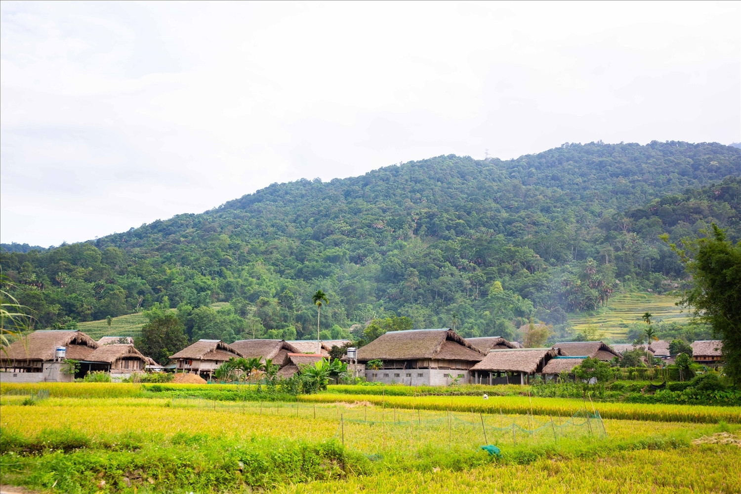 Thực hiện nguyên tắc '6 rõ' để hoàn thành xóa nhà tạm đúng tiến độ