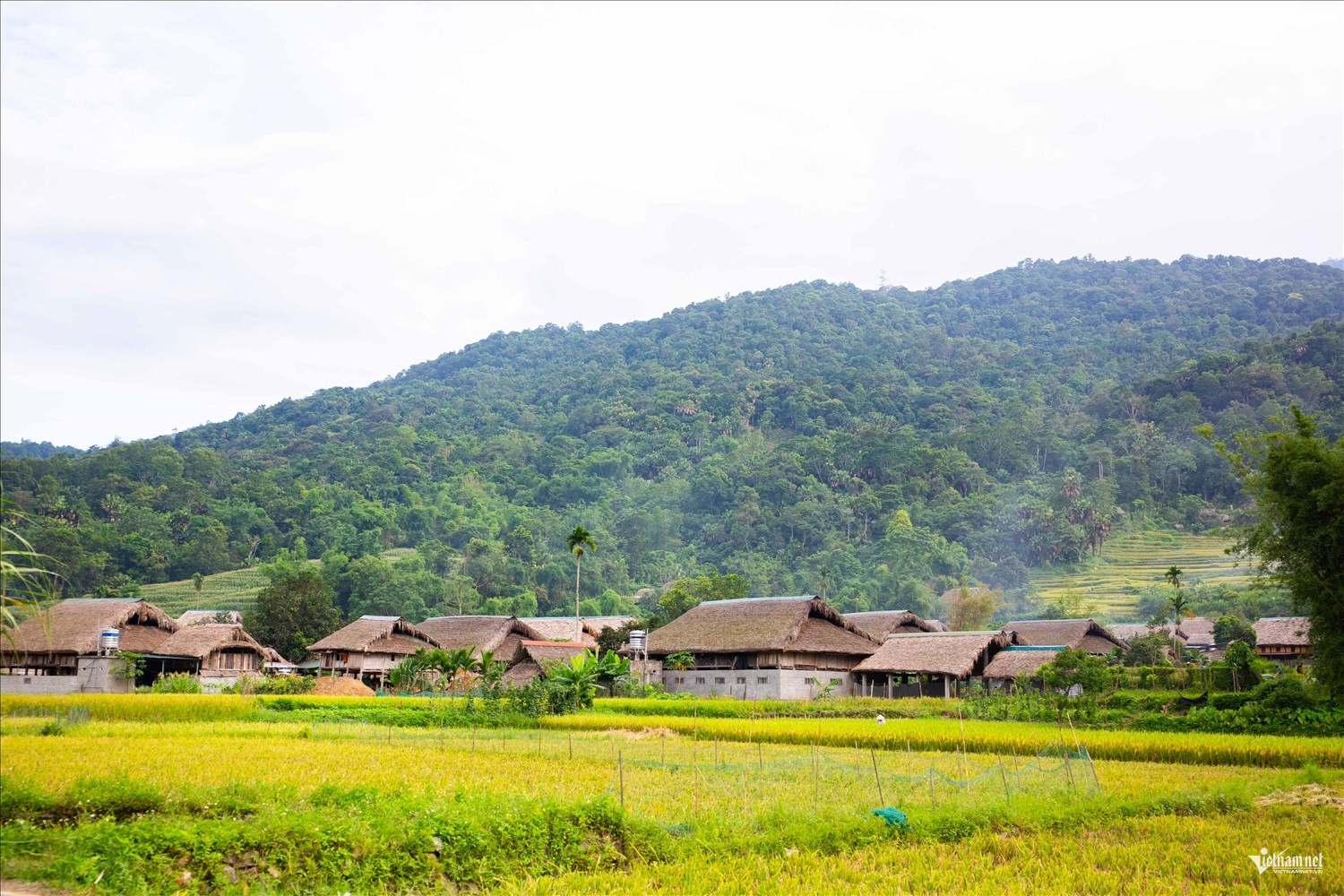 W-Vũ Văn Mừng ảnh 2.jpg