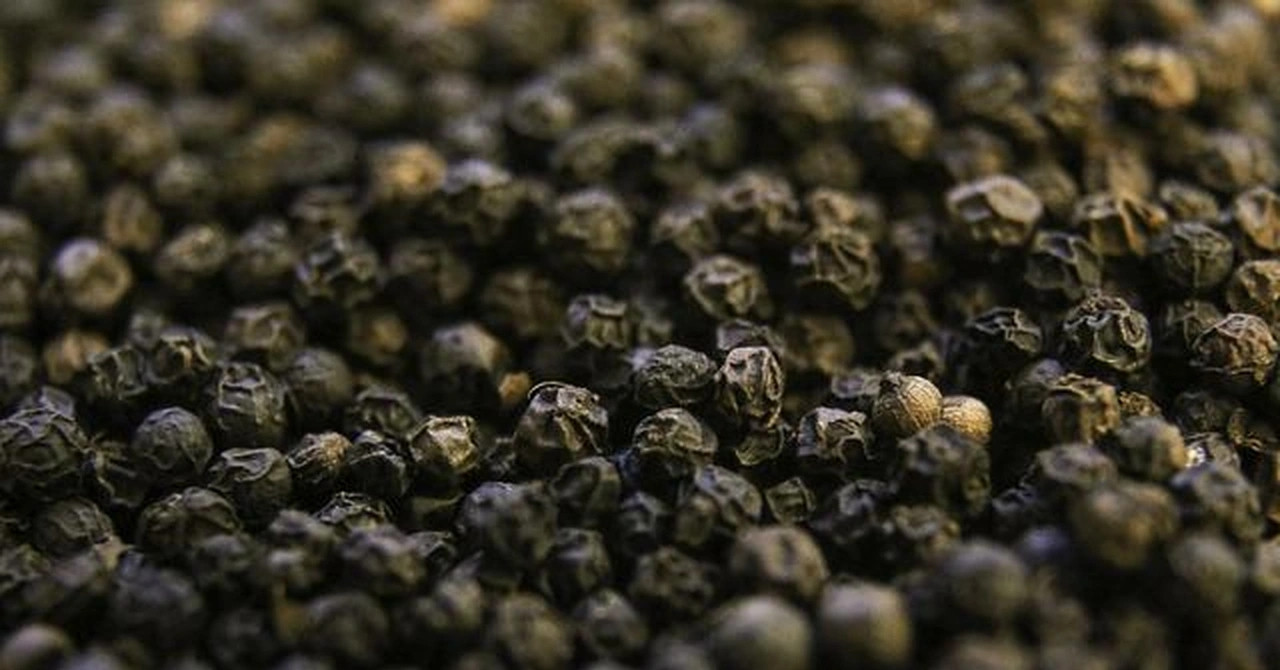 Gần 31.500 tấn ‘vàng đen’ ồ ạt về Việt Nam, nông dân trong nước ngại trồng