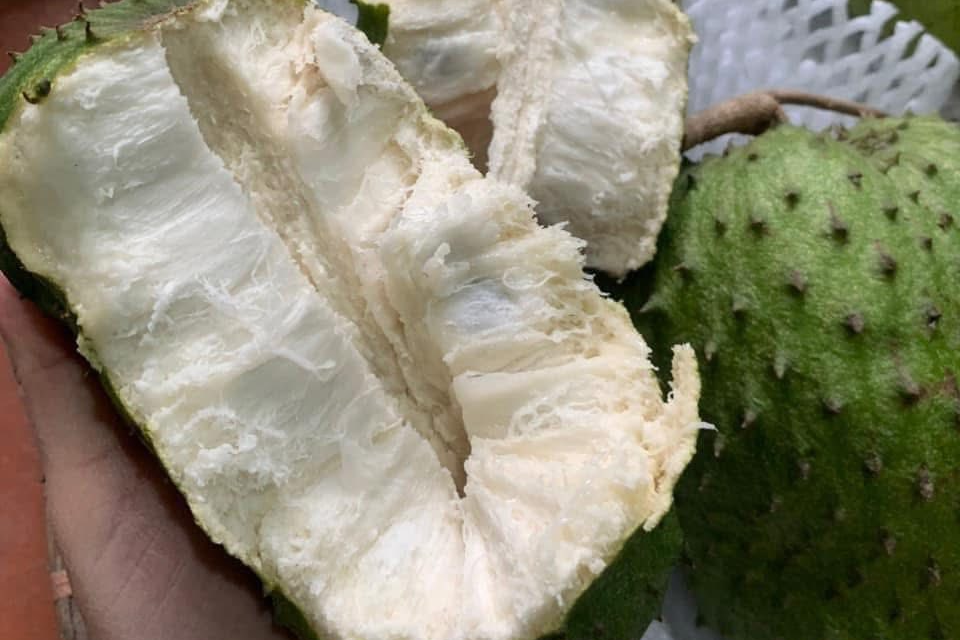 Mãng cầu xiêm có tốt cho bệnh nhân ung thư không?