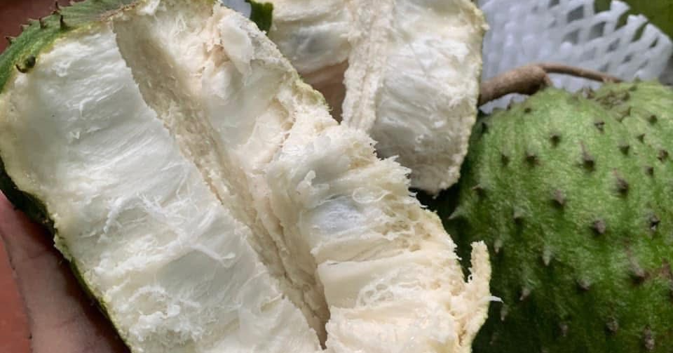 Mãng cầu xiêm có tốt cho bệnh nhân ung thư không?