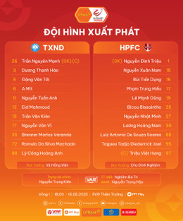 Nam Dinh Hai Phong doi hinh.jpg