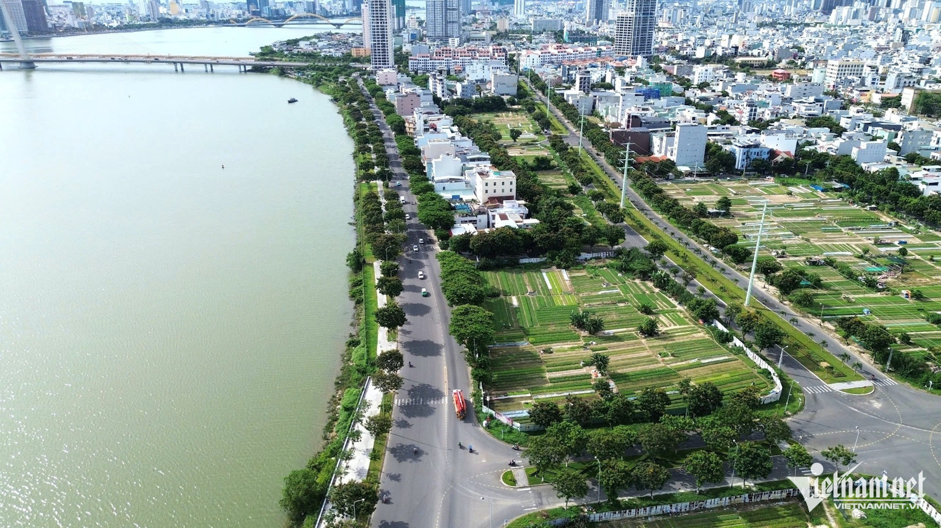 to hop le hoi phao hoa vietnamnet.jpg