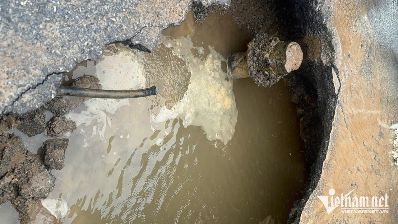 W-4c775eb7 6fdb 4361 bfc4 ff1b37693ccc.jpg