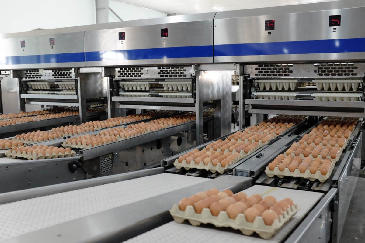 Chủ tịch và CEO Bamboo Airways bất ngờ xin nghỉ; con trai Bầu Đức lộ diện