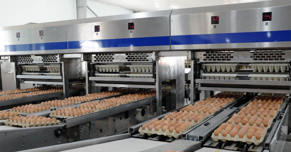 Chủ tịch và CEO Bamboo Airways bất ngờ xin nghỉ; con trai Bầu Đức lộ diện