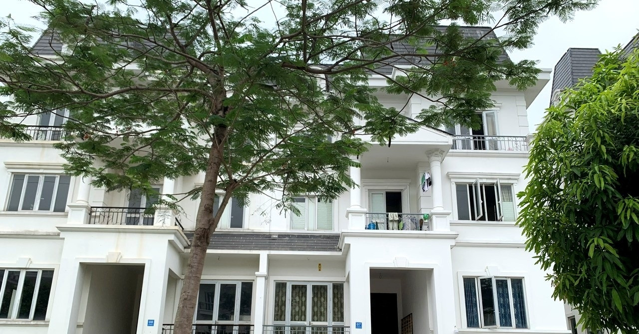 Hộ kinh doanh, cá nhân cho thuê nhà, văn phòng cần chú ý nộp 3 loại thuế