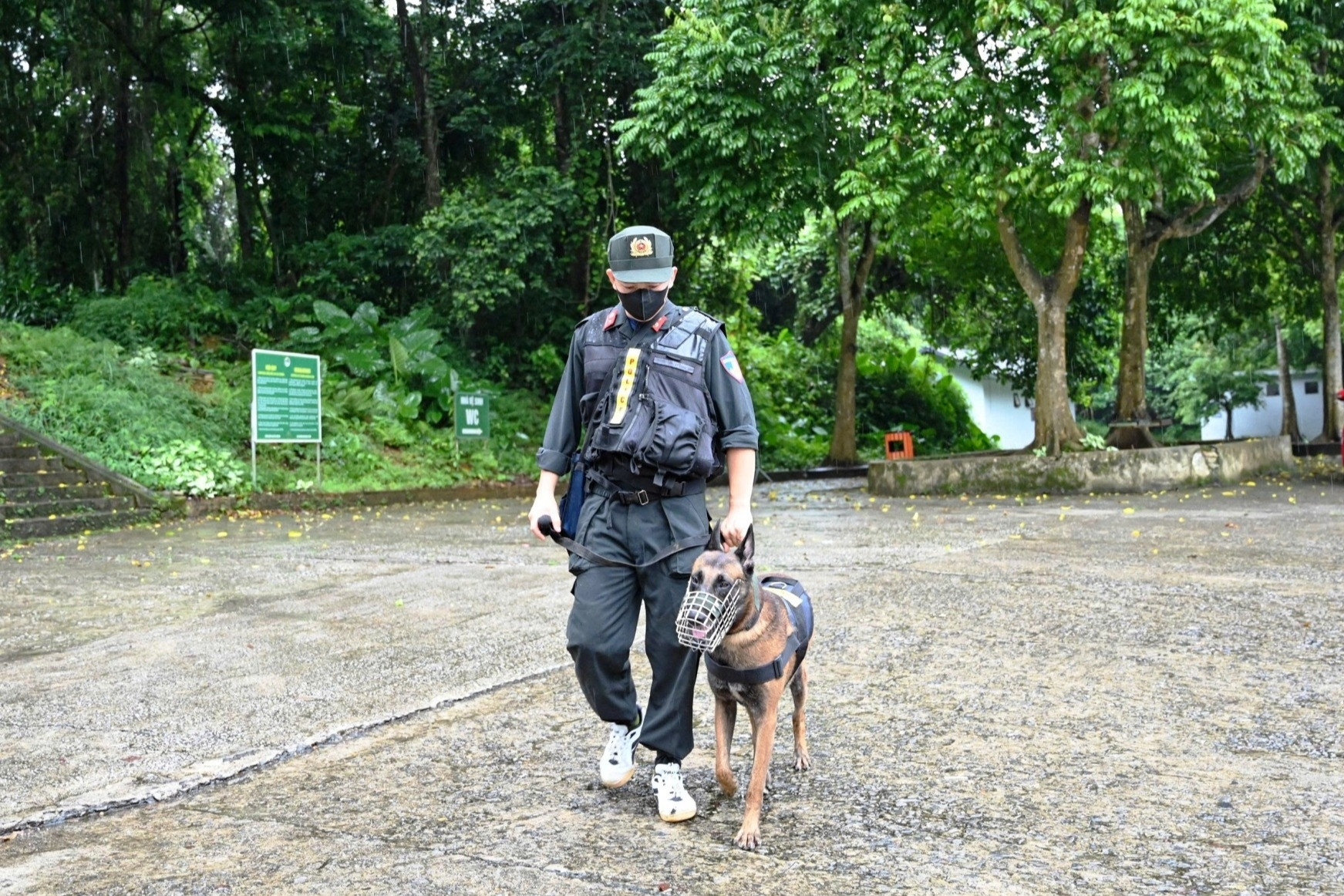 Huy động gần 100 người và 7 chó nghiệp vụ tìm kiếm nam du khách mất tích ở Ninh Bình