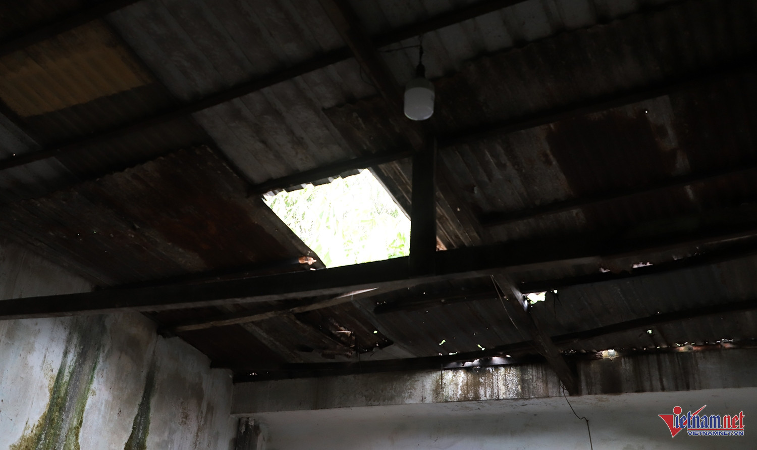 W-HC bé Tiên.JPG.jpg