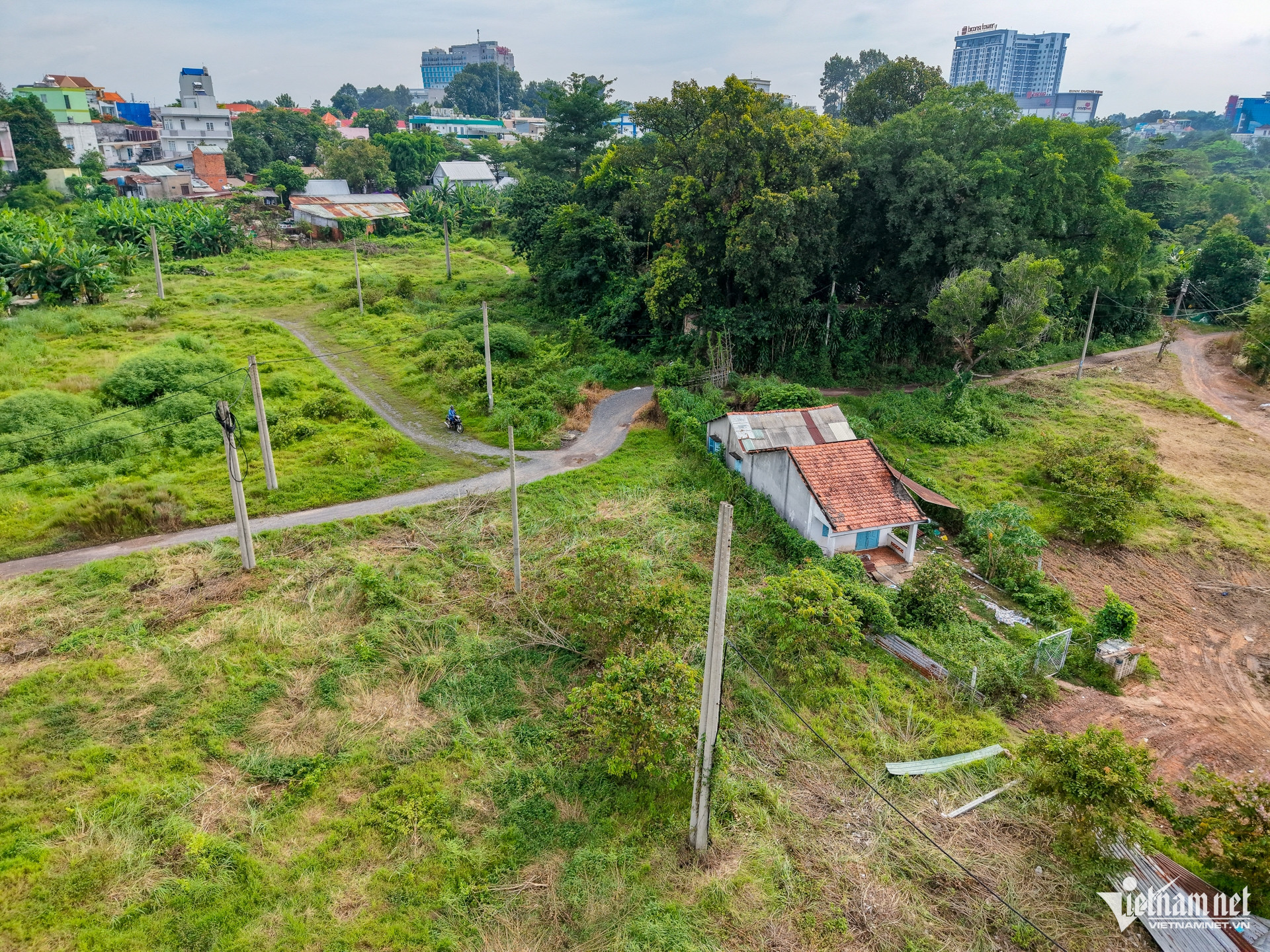 W-thủ dầu một Nguyễn Huế 11.jpg