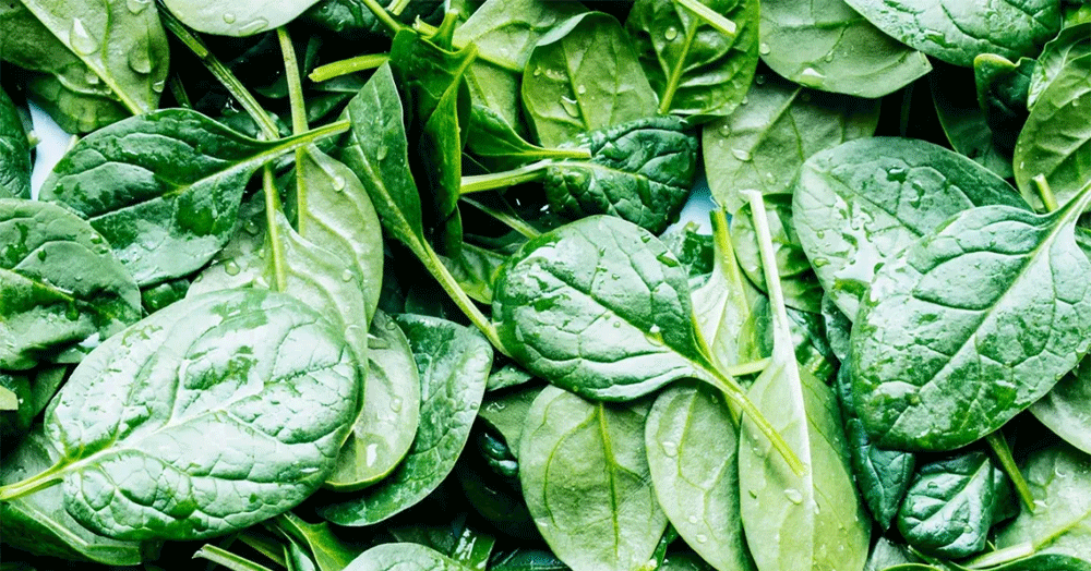 Loại rau được ca ngợi ‘ngôi sao’ kéo dài tuổi thọ, chuyên gia khuyên ăn nhiều