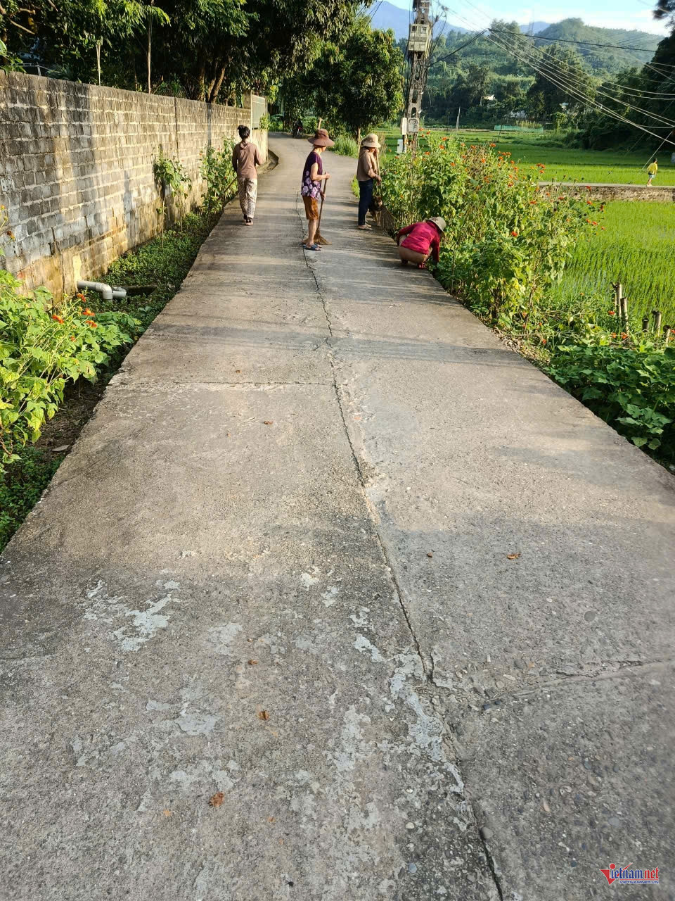 W-anh bai 19 bao thang.jpg