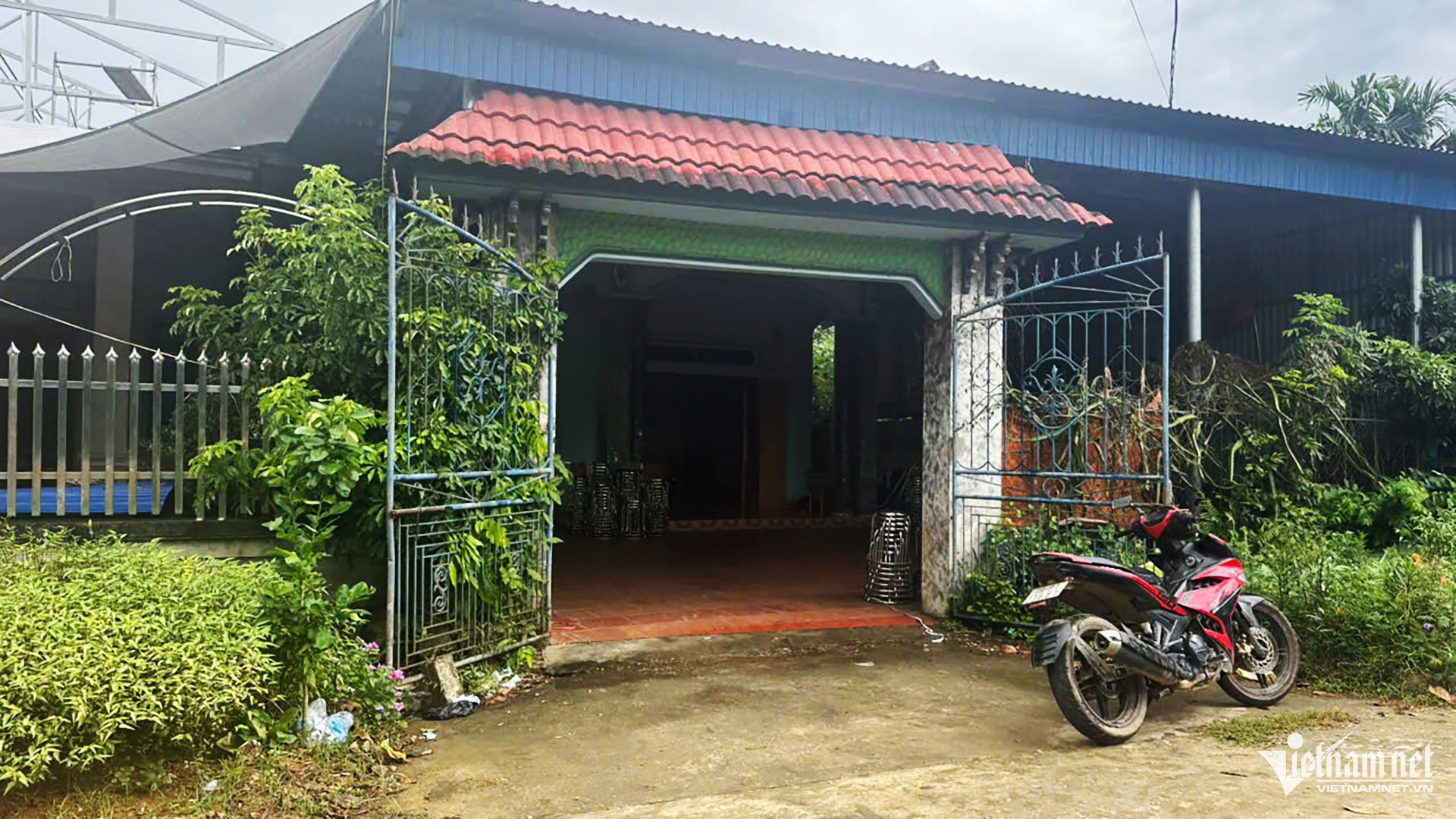 W-lien hoa.jpg