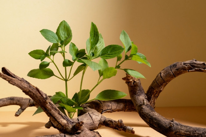 8 dấu hiệu nhận biết ngôi nhà vượng khí, hút tài lộc, bình an