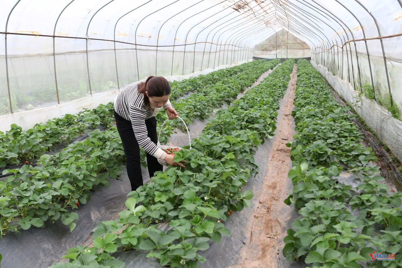 W-anh bai 10 chuan.jpg