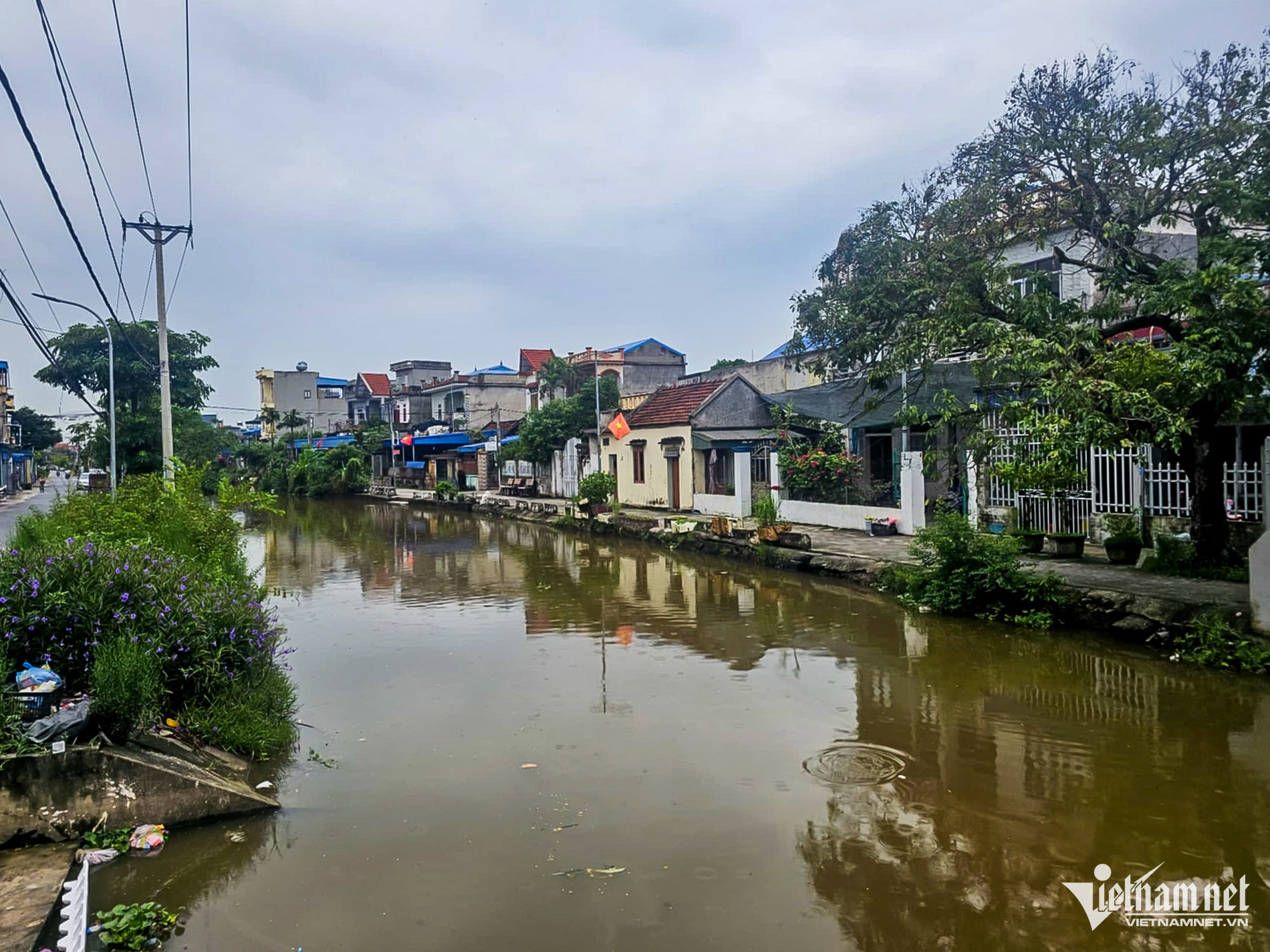 W-cổ chất.jpg