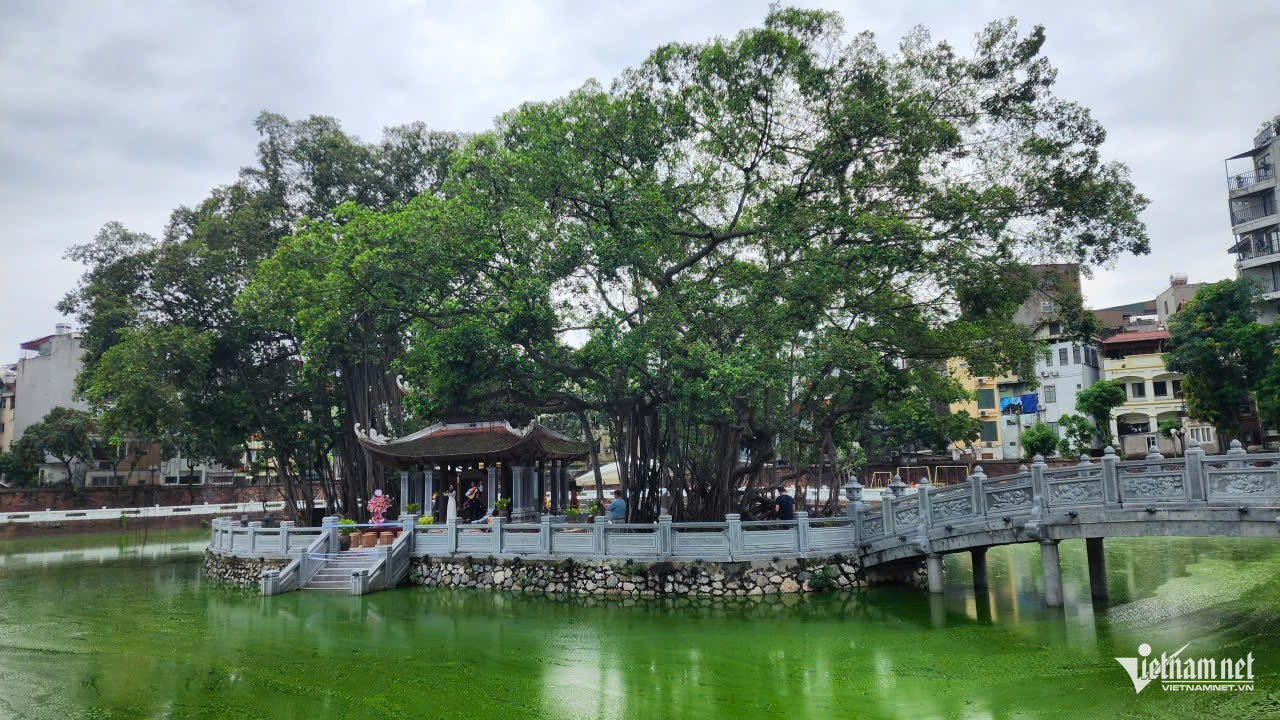 W-gen n z6920742987556_8f3cde083c372e1dd649ff70a1a732ad.jpg