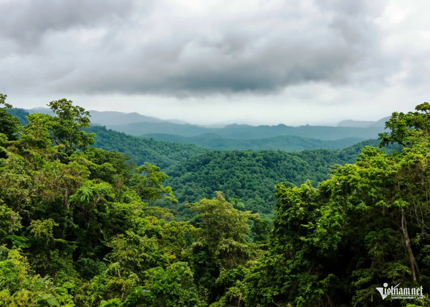 W-rung cuc phuong.jpg