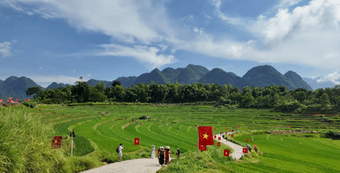 cánh đồng lúa Pù Luông