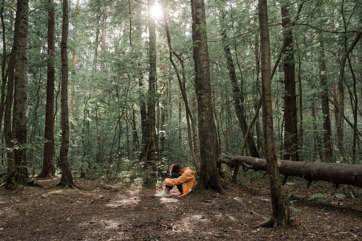 Chuyên gia mách loạt bí kíp sinh tồn khi đi lạc trong rừng