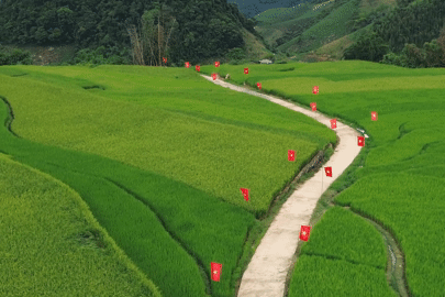 Địa điểm check-in cách Hà Nội 170km tràn ngập sắc cờ đỏ sao vàng giữa đồng lúa