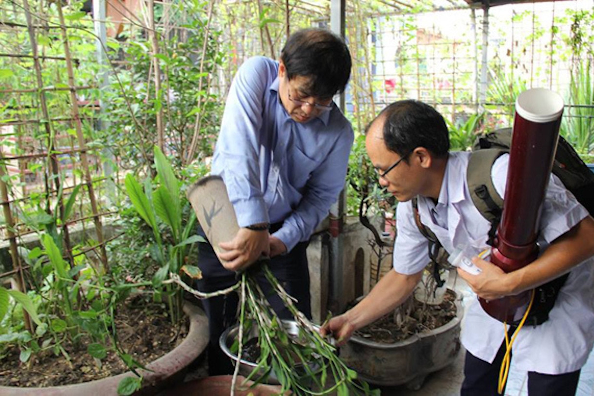 Hà Nội: Tăng cường phòng, chống bệnh Chikungunya lây qua muỗi