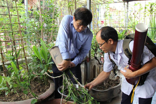 Hà Nội: Tăng cường phòng, chống bệnh Chikungunya lây qua muỗi