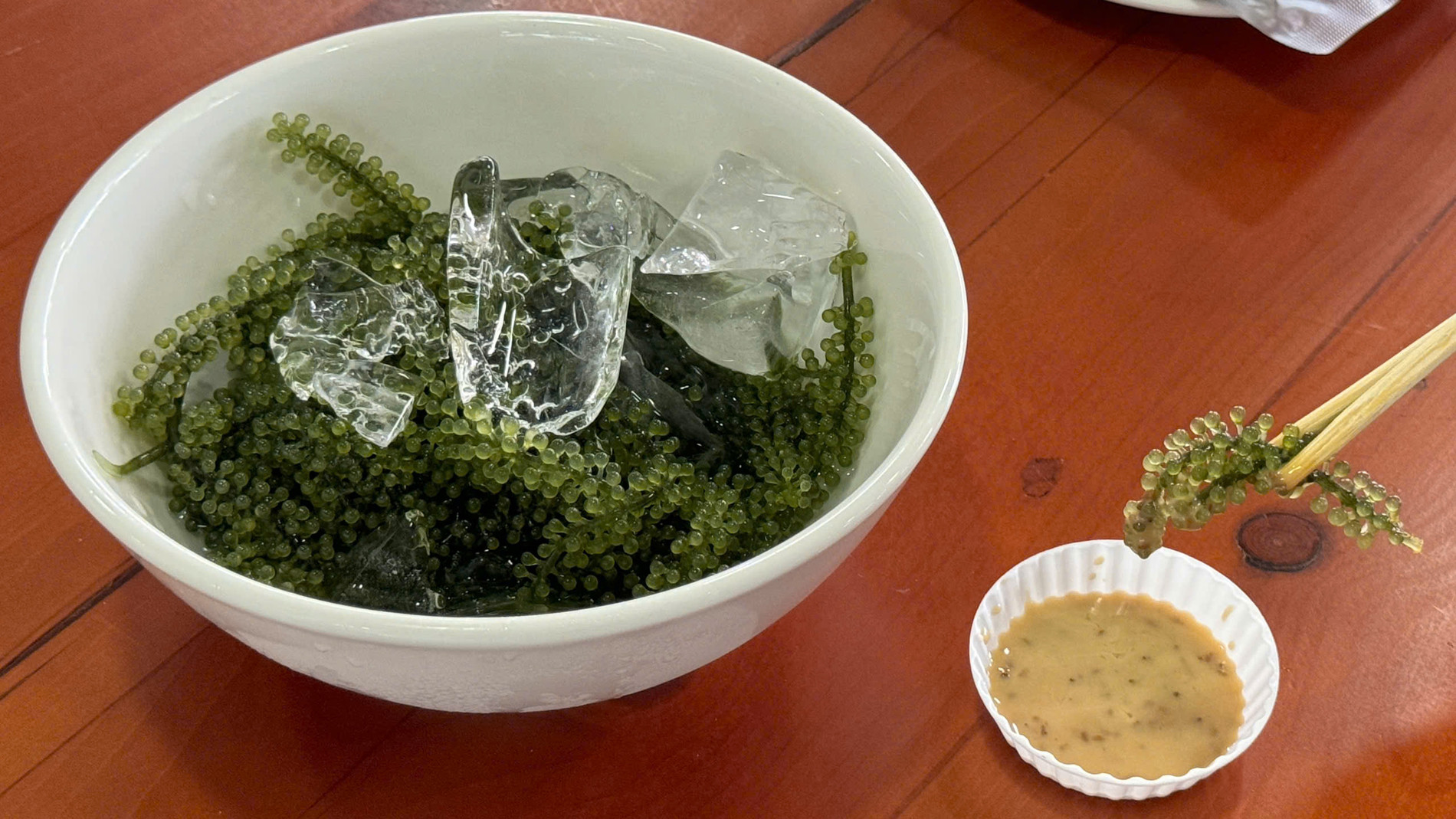 rong nho Khánh Hòa.jpg