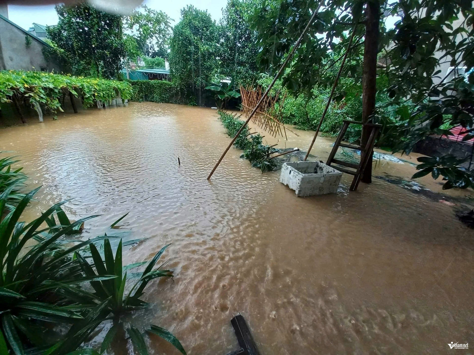 mua ngap thai nguyen 11jpg 1817.jpg