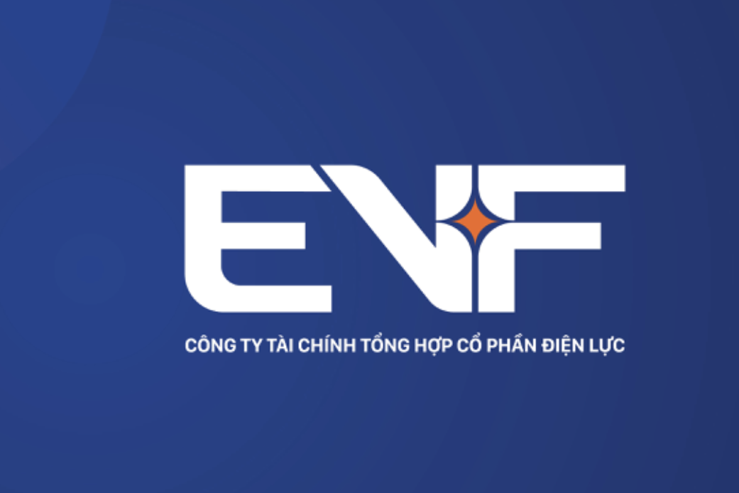 Sau khi thanh tra chỉ ra loạt ‘góc khuất’, EVN Finance bỏ tên dễ gây nhầm lẫn
