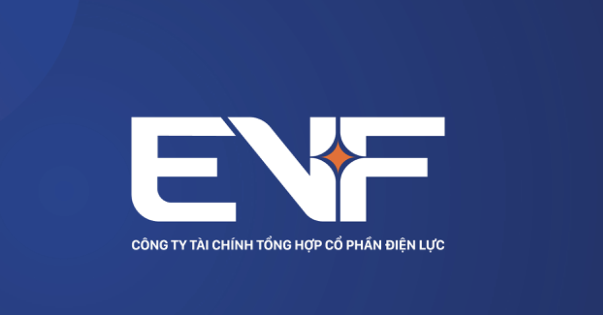 Sau khi thanh tra chỉ ra loạt ‘góc khuất’, EVN Finance bỏ tên dễ gây nhầm lẫn